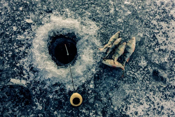 Льодова риболовля на озері — стокове фото