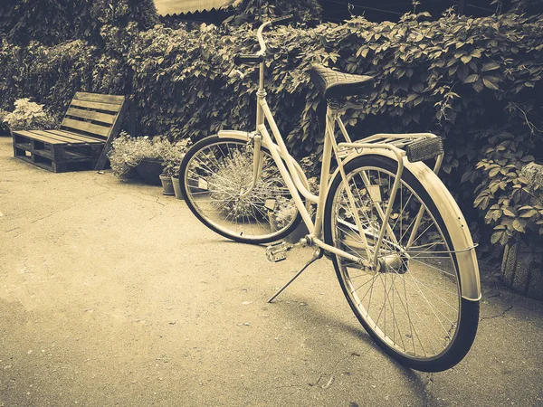 Helles Türkisfarbenes Fahrrad Der Straße — Stockfoto