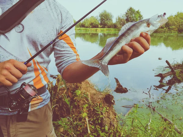 Pescatore Catturato Pesce Che Tiene Mano — Foto Stock