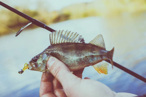Pêche. Pêcheur et poisson — Photo