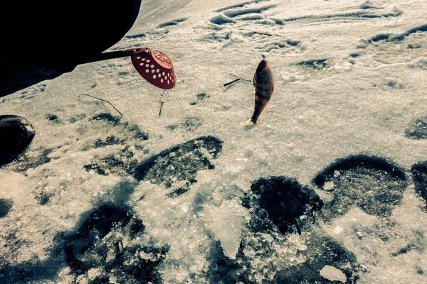 Pesca Inverno Partir Gelo — Fotografia de Stock