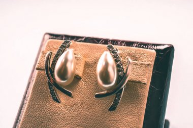 Taşlar Gümüş Küpe