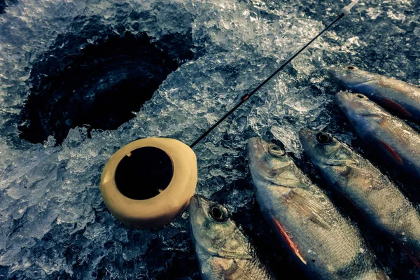 Pesca de hielo en el lago — Foto de Stock