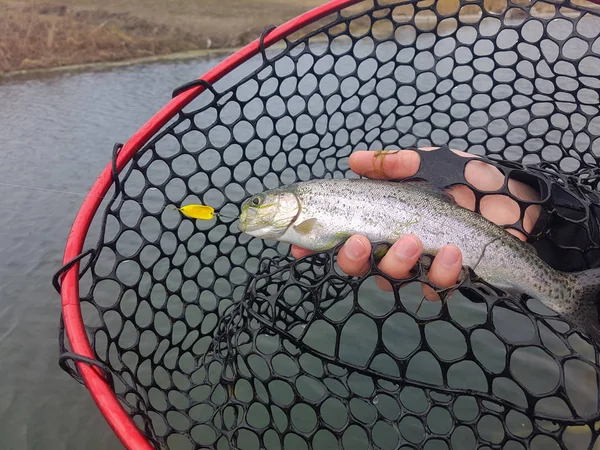 Background on a fishing theme — Stock Photo, Image