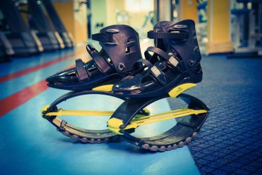 kangoo botları yakından atlar