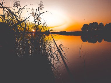 güzel bir akşam sunset
