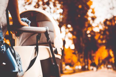 bir yürüyüşte bir bebek arabası ile anne