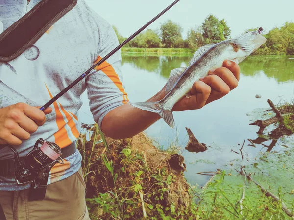 Rybář Chytil Ruce Rybí Hospodářství — Stock fotografie