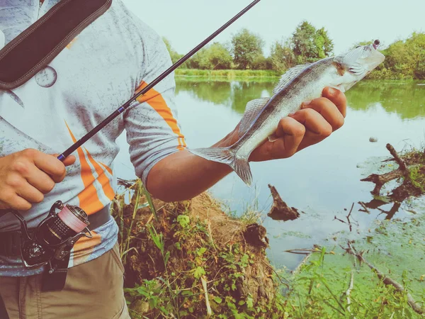 Pescador Capturó Pez Sosteniendo Mano — Foto de Stock