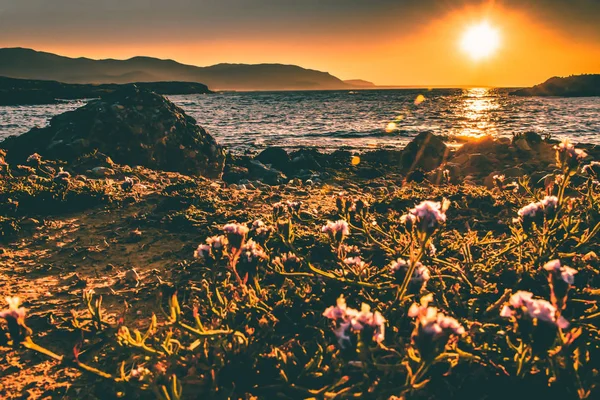 Paisaje marino. Viaje marítimo a Creta — Foto de Stock