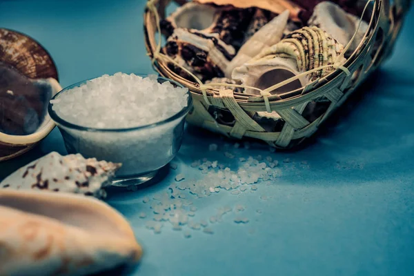 Conchas y fondo de sal marina — Foto de Stock