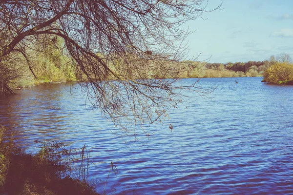 Pesca en el río — Foto de Stock