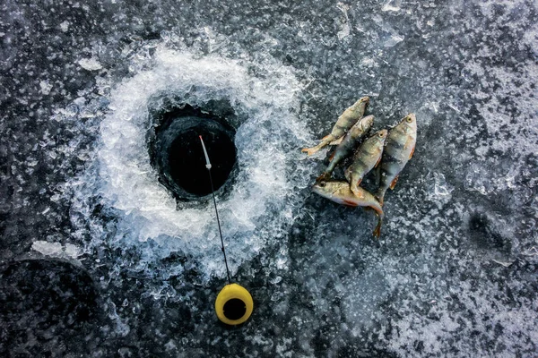 Pêche Sur Glace Sur Lac — Photo