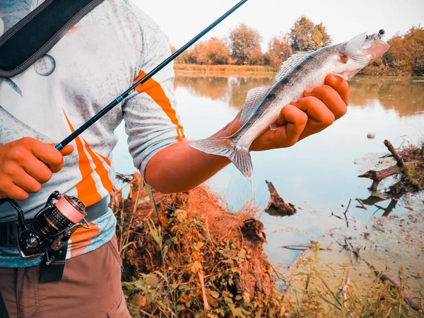 Pescador capturó un pez sosteniendo en su mano — Foto de Stock