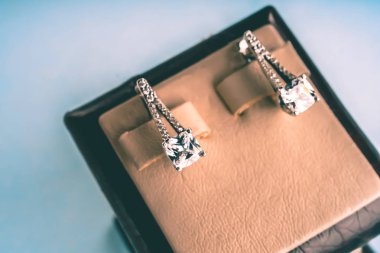 Taşlar Gümüş Küpe