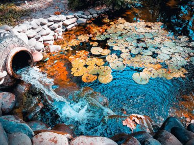 eski bir vazodan şelale