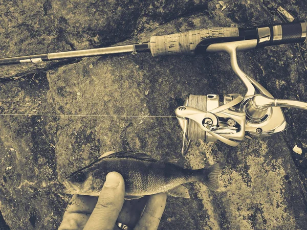 Il pescatore ha preso un piccolo pesce per esca — Foto Stock