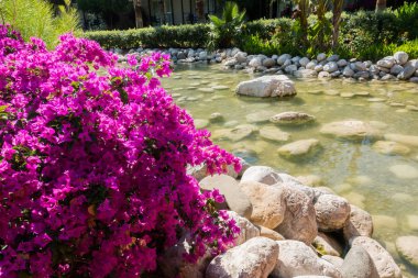 Güzel tatil beldesi. Yeşil ve çiçekler