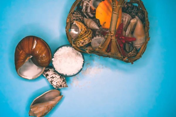 Kabukları ve deniz tuzu arka plan