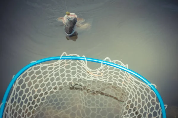 Pesca Alla Trota Sul Lago — Foto Stock