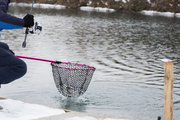 Pêche Truite Sur Lac — Photo