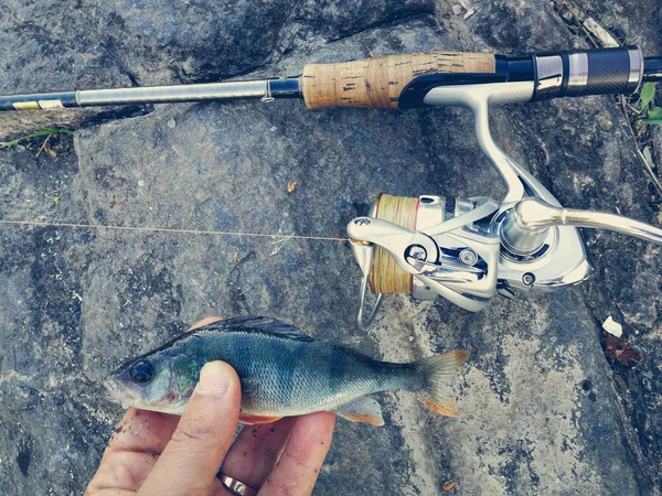 balıkçı yem için küçük bir balık yakaladı