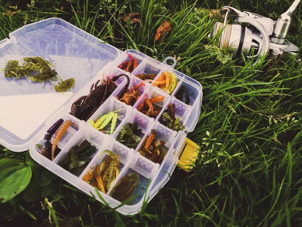 Balık tutma kavramı: Yemler ve iplik