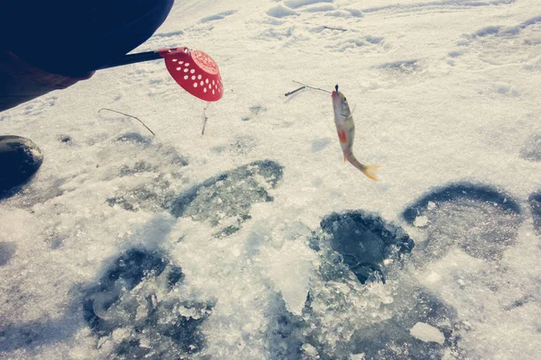 Pesca Invierno Desde Hielo — Foto de Stock