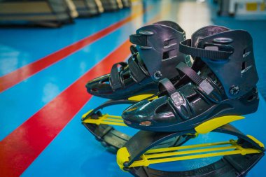 kangoo botları yakından atlar