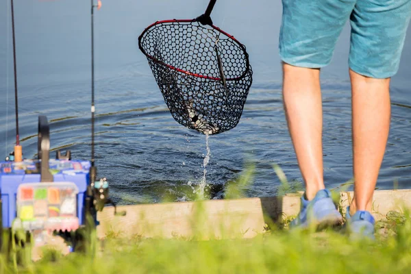 Pesca Truta Rio — Fotografia de Stock