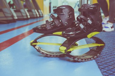 kangoo botları yakından atlar