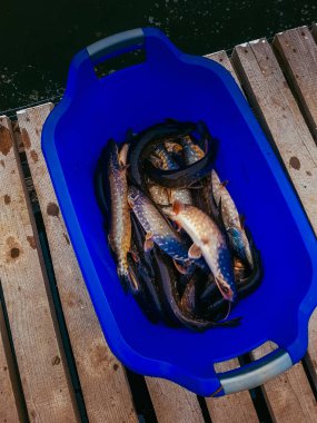 Bir balıkçı tema arka plan