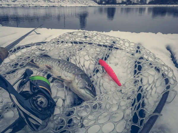 Gäddfiske på sjön. Fritidsfiske — Stockfoto