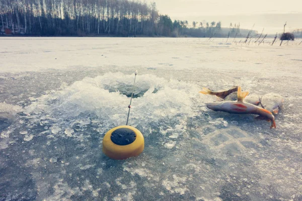 Winter Ice Fishing Hobby — Stock Photo, Image