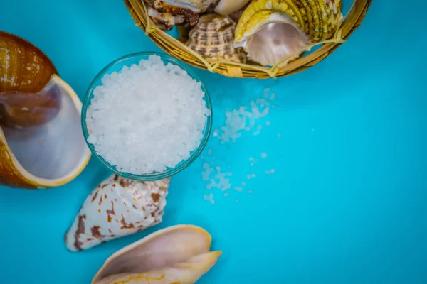 Conchas y fondo de sal marina — Foto de Stock