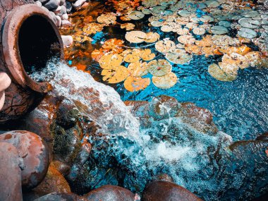 eski bir vazodan şelale