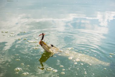 Gölde balık tutmak.