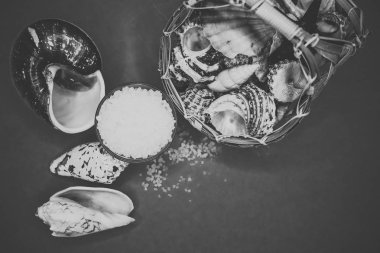 Kabukları ve deniz tuzu arka plan