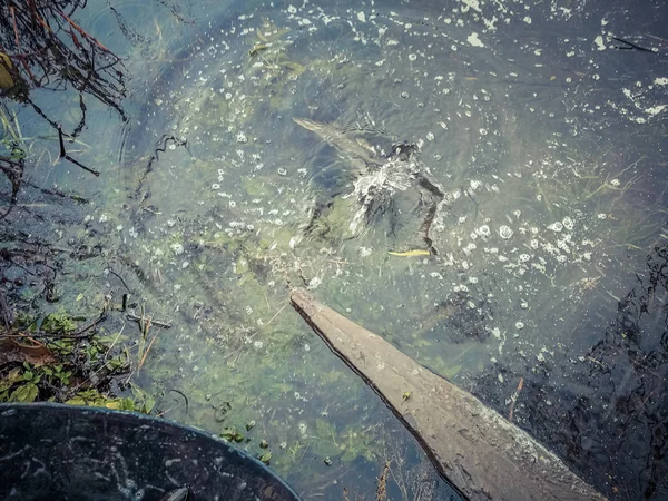 Antecedentes sobre um tema de pesca — Fotografia de Stock