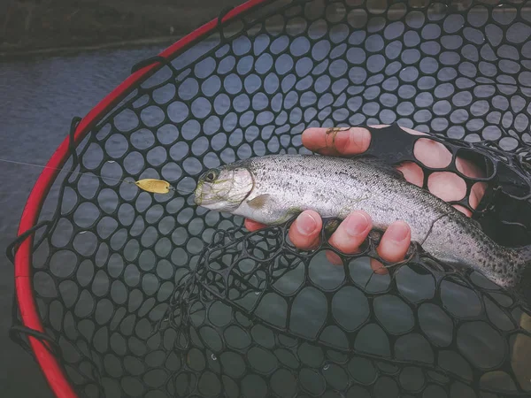 Antecedentes sobre um tema de pesca — Fotografia de Stock