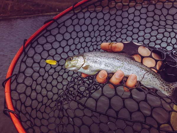 Antecedentes Sobre Tema Pesca — Fotografia de Stock