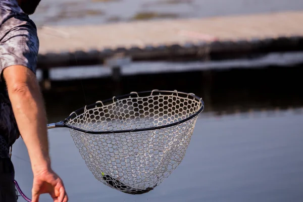 Pêche Truite Sur Rivière — Photo