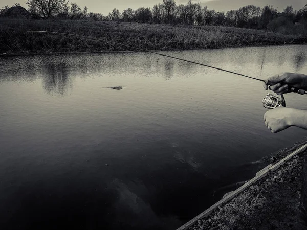 Fishing on the lake — Stock Photo, Image