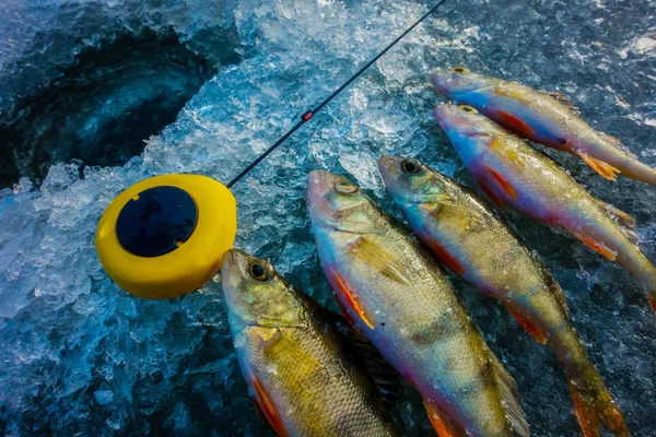 Pesca Gelo Lago — Fotografia de Stock