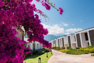 Güzel tatil beldesi. Yeşil ve çiçekler