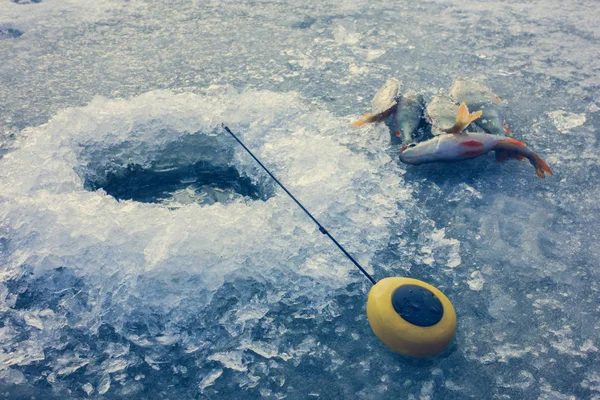 Pêche sur la glace sur le lac — Photo