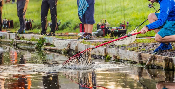 Pesca Truchas Río —  Fotos de Stock