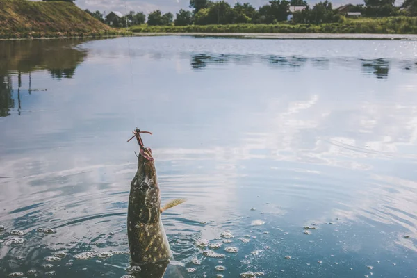 Pêche au brochet sur le lac — Photo