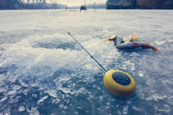 Pêche Sur Glace Sur Lac — Photo