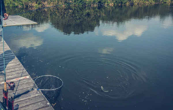 Öring fiske på sjön — Stockfoto